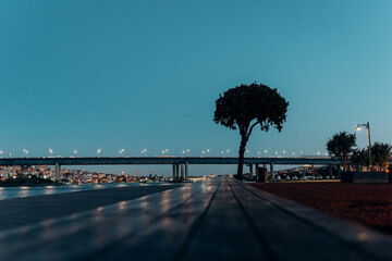 Evening time on the promenade with a bridge view - obrazy, fototapety, plakaty