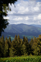 Beautiful mountains landscape with green forest. Carpathians, Ukraine.