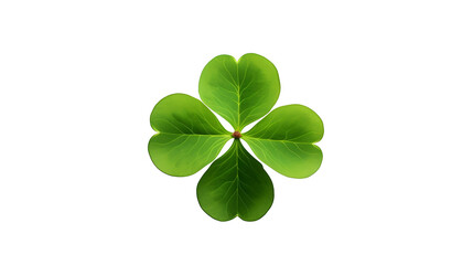 Four leaf clover isolated on transparent background