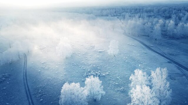 White frost-covered trees in winter forest at foggy sunrise. Aerial view. Road in the mountains. Clouds over the mountains and forest. Winter landscape
