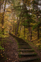 Obraz premium Autumn Ascent (2023)