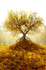 3D rendering of a yellow-colored tree with roots standing on a pile of leaves