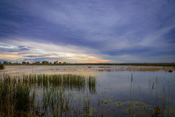 Huron Sunrise (2023)