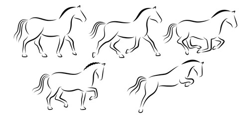 Collection de pictogrammes représentant des chevaux, une série composée de silhouettes aux contours noirs, dans différentes allures : au pas, au trot, au galop, dressage, saut. - obrazy, fototapety, plakaty