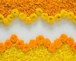 Mix marigold flowers's petals isolated white background.
