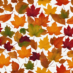 Naklejka na ściany i meble autumn leaves on a white background