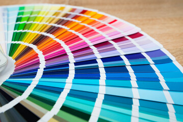 bright samples of color palette.