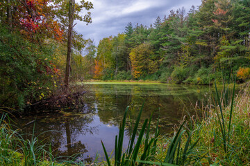 Sutherland Pond (2023)