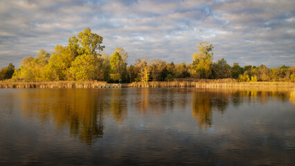 Amber Reflections