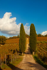 Italia, Toscana, il Chianti in autunno.