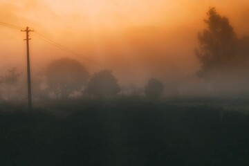 Mysterious foggy landscape of the woods at sunset