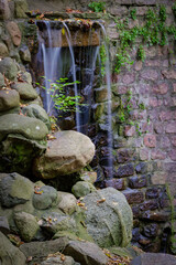 Cranbrook Cascade (2023)