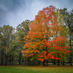 Naklejka premium Flsuhing County Park (2023)
