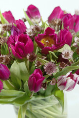 Obraz premium tulip bouquet