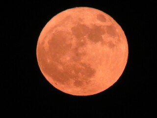 Closeup shot of a beautiful bright orange full moon in a black sky - Powered by Adobe