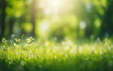 Foto op Plexiglas Hermoso campo de pradera con hierba fresca y flores  en la naturaleza. Paisaje natural perfecto de primavera de verano. © Carmen Martín J.