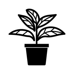 Aglaonema plant Icon - Simple Vector Illustration