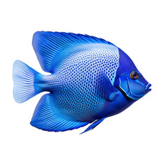 blue fish on a transparent background.