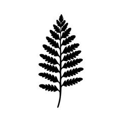 Boston Fern plant Icon - Simple Vector Illustration