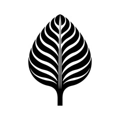Prayer Plant Icon - Simple Vector Illustration - obrazy, fototapety, plakaty