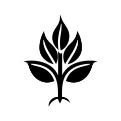 Weeping Fig Icon - Simple Vector Illustration