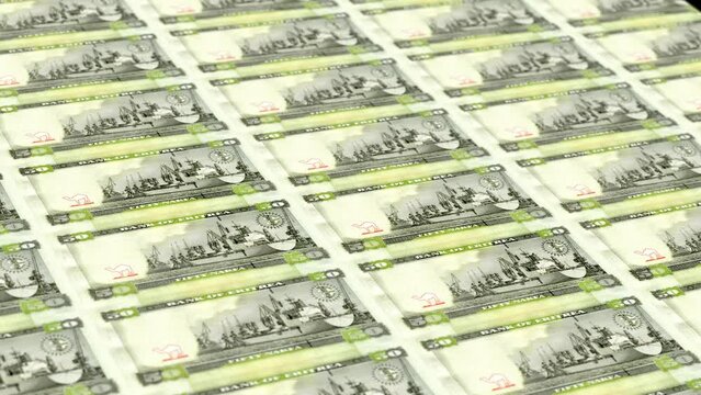 Eritre Eritrean Nakfa 50 Banknotes Money Printing House, Printing Fifty Eritrean Nakfa, Printing Press Machine Print out Eritrean Nakfa, Being printed by currency press machine 50 Eritrean