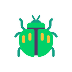 Beetle