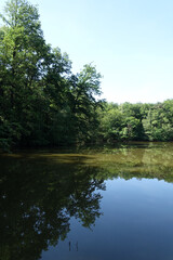 Maunzenweiher bei Frankfurt