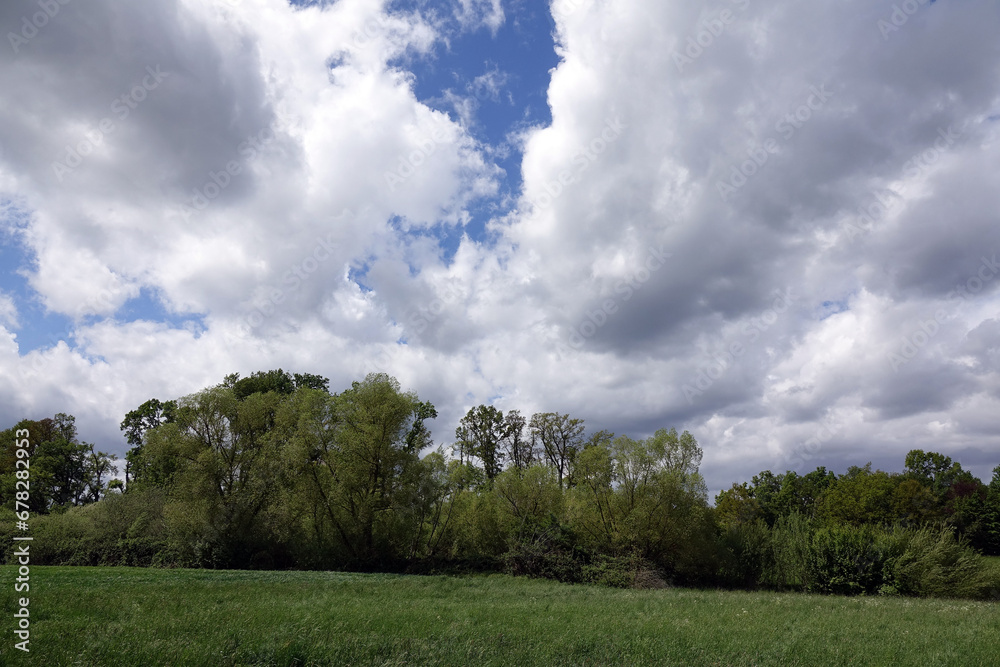 Poster wiese mit wolkenhimmel