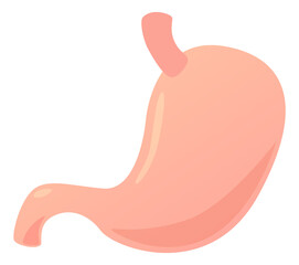 Stomach cartoon icon. Digestive organ medical illustration