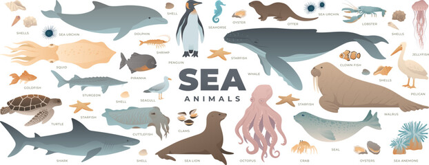 Sea animals set. Modern vector illustration of under water world. Marine life collection isolated on white background. Whale, shark, octopus, dolphin, turtle, penguin. - obrazy, fototapety, plakaty