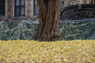 Fall colors Autumn romantic picturesque landscape scenery in Montreal, Quebec Canada Indian Summer...
