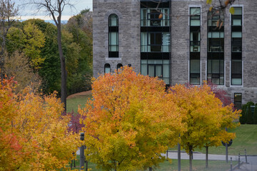 Fall colors Autumn romantic picturesque landscape scenery in Montreal, Quebec Canada Indian Summer natural beauty glowing changing leaves residential houses hoods