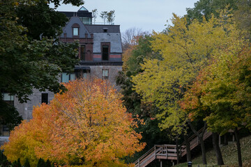 Fall colors Autumn romantic picturesque landscape scenery in Montreal, Quebec Canada Indian Summer natural beauty glowing changing leaves residential houses hoods