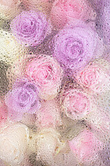 beautiful pink rose flowers through the glass with waterdrops background