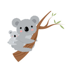 Cartoon Koala with baby. On a white background . Flat.