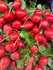 vegetables in the store, radishes on the counter