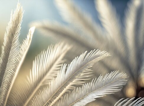 Blue Palms Background © D'Arcangelo Stock