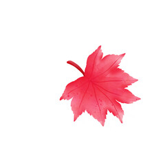 Autumn leaf