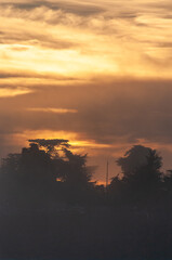 Dreamlike image of the setting sun breaking through a cloud layer and showing tree silhouttes.