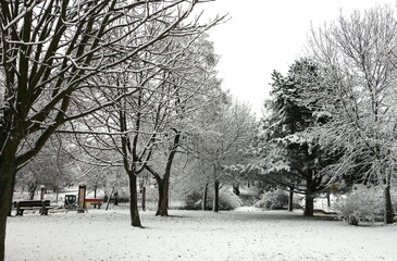 January - trees covered with freshly fallen snow in the park