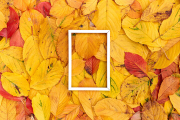 Vertical thin white hollow frame lies on yellow leaves background