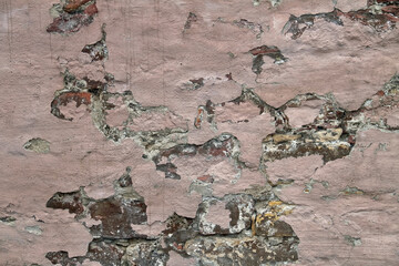 A pink brick wall with crumbling and cracked plaster