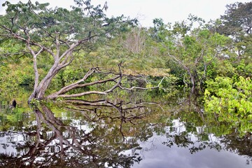 Regenzeit am Amazonas