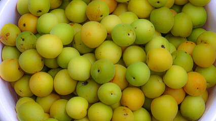 Fresh yellow  plums, light green plums background. - 678293306