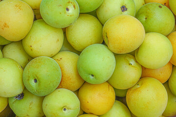 Fresh yellow  plums, light green plums background. - 678293322