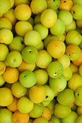 Fresh yellow  plums, light green plums background. - 678293339