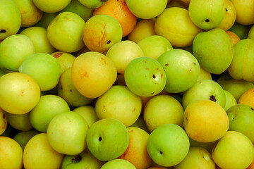 Fresh yellow  plums, light green plums background. - 678293342