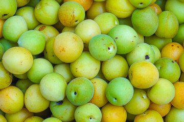 Fresh yellow  plums, light green plums background. - 678293347
