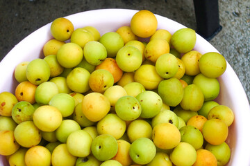 Fresh yellow  plums, light green plums background. - 678293350